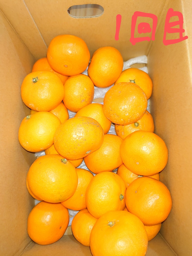 3件目のレビュー画像 | 3