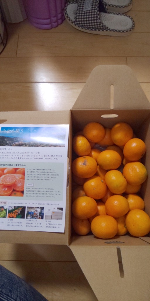 レビュー画像