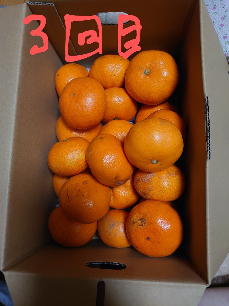 4件目のレビュー画像 | 0