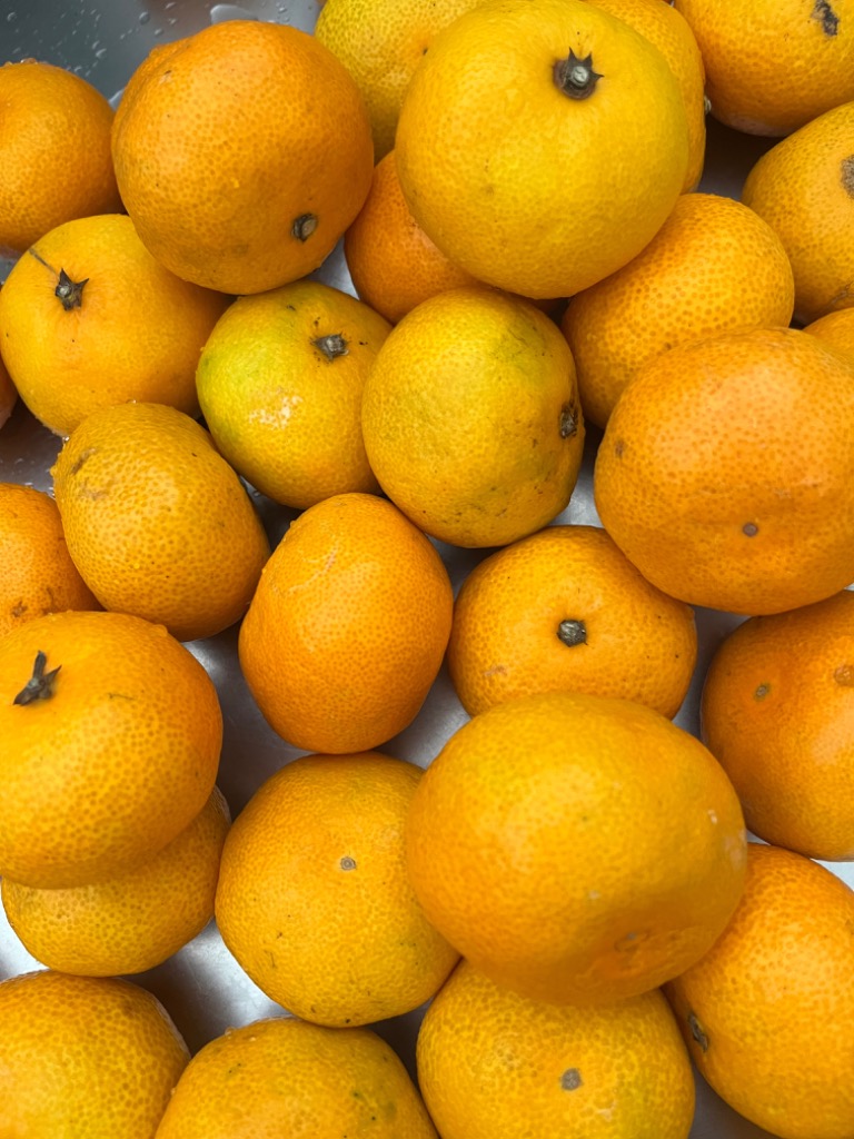 1件目のレビュー画像 | 0