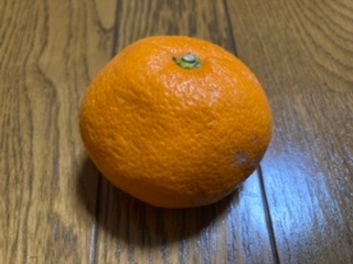 全体のレビュー画像 | 1-0