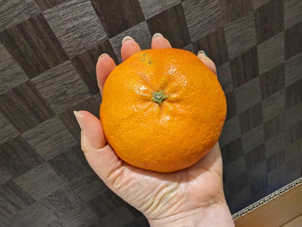 レビュー画像