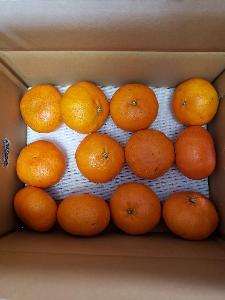 再入荷】 みかん 訳あり 2kg 甘平 かんぺい カンペイ 濃厚 甘い