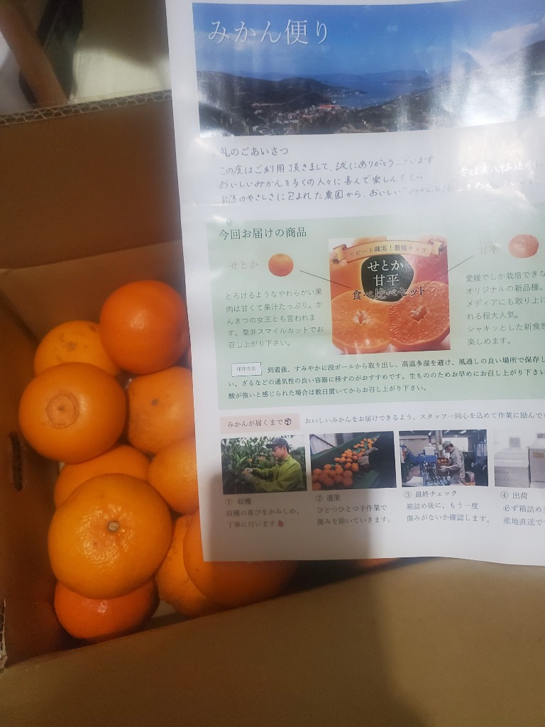 せとか 甘平 食べ比べセット