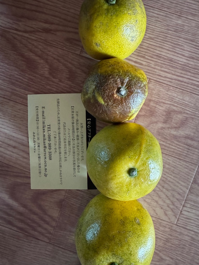 全体のレビュー画像 | 8-0