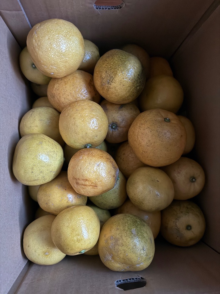 全体のレビュー画像 | 8-1