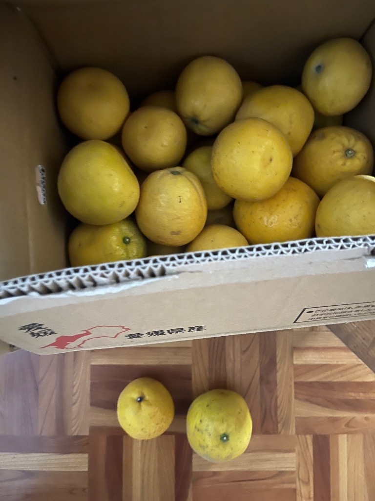 全体のレビュー画像 | 2-0