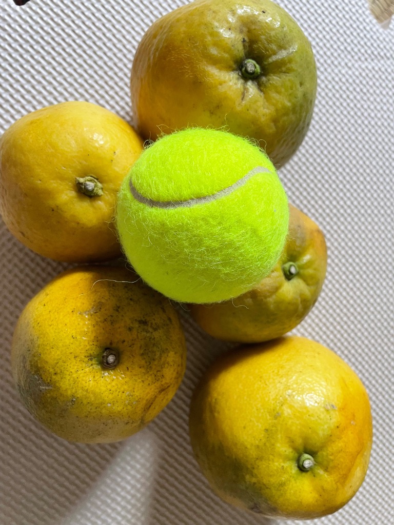 全体のレビュー画像 | 0-1