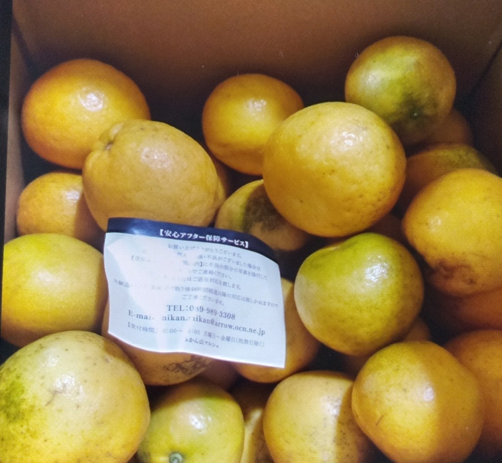 全体のレビュー画像 | 3-0