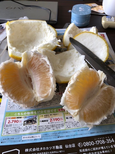 河内晩柑・ポイント15倍！TVで話題の食べる天然ジュース 河内晩