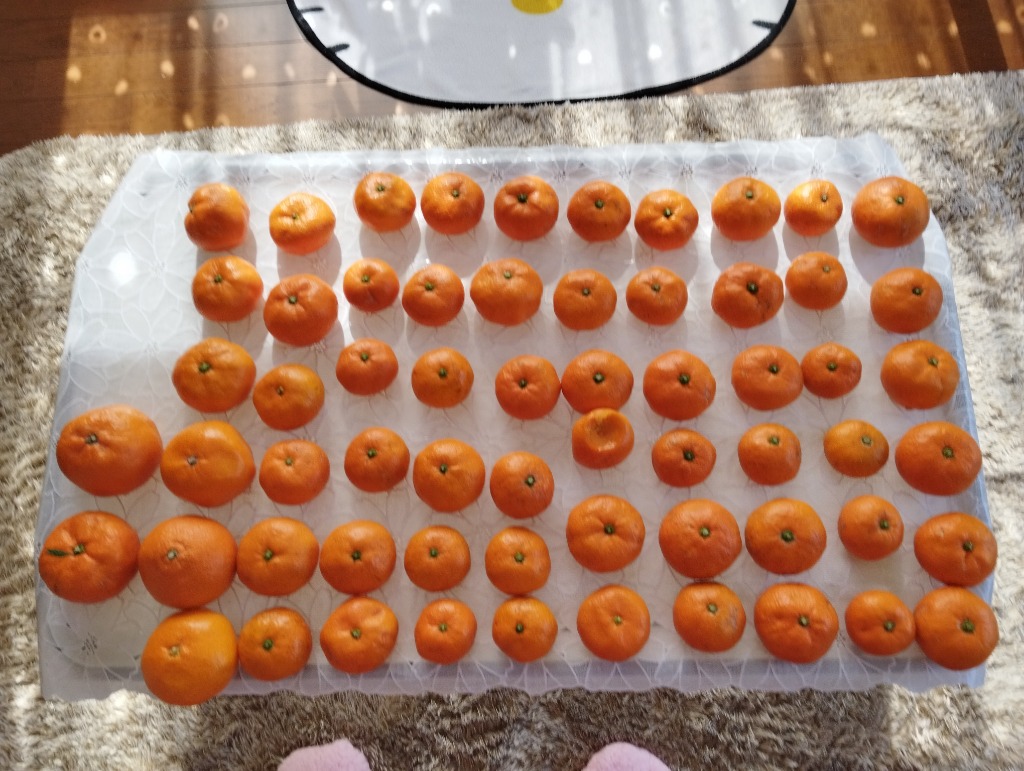 1件目のレビュー画像 | 1