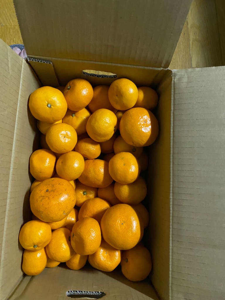 全体のレビュー画像 | 4-0