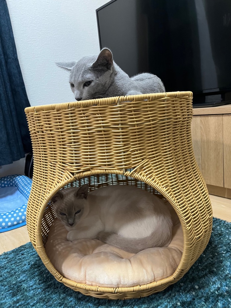9件目のレビュー画像 | 0