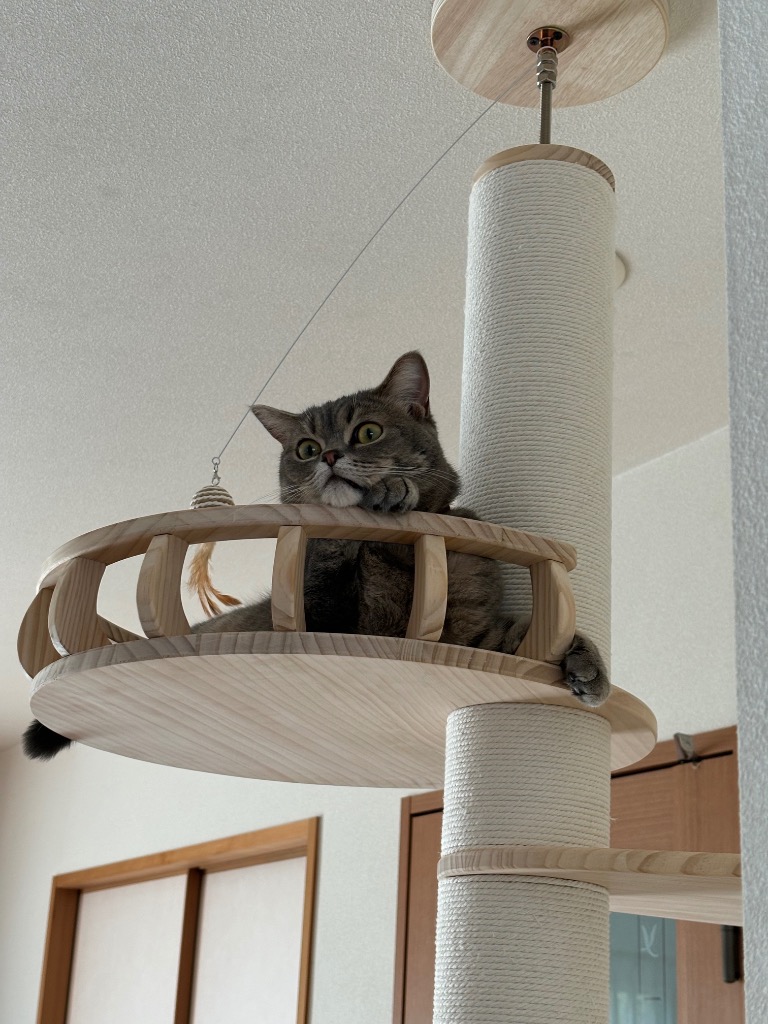 SUMIKA キャットタワー ジュリニャッタ バルコニーS 2個セット 猫暮らし専門店 キミとワタシのSUMIKA フレンチバルコニー