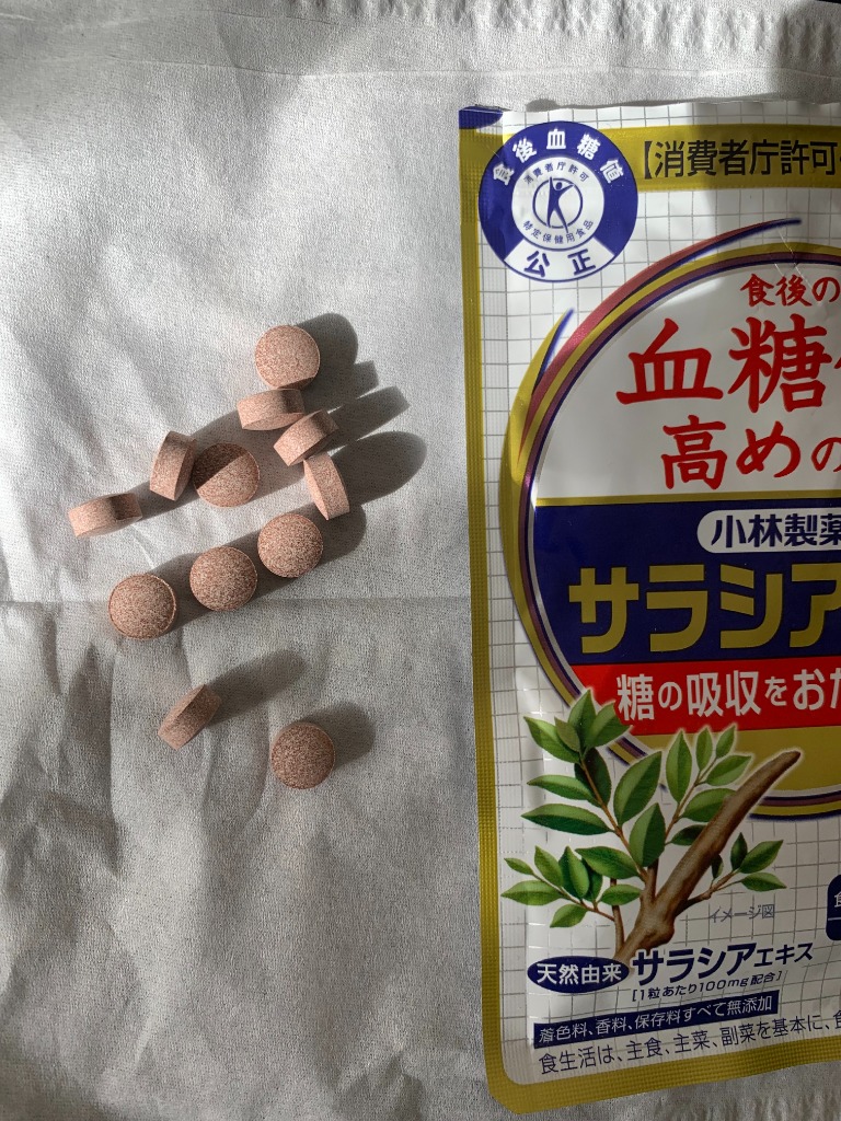 小林製薬 サラシア100 約20日分 60粒 3袋セット : セラフィー