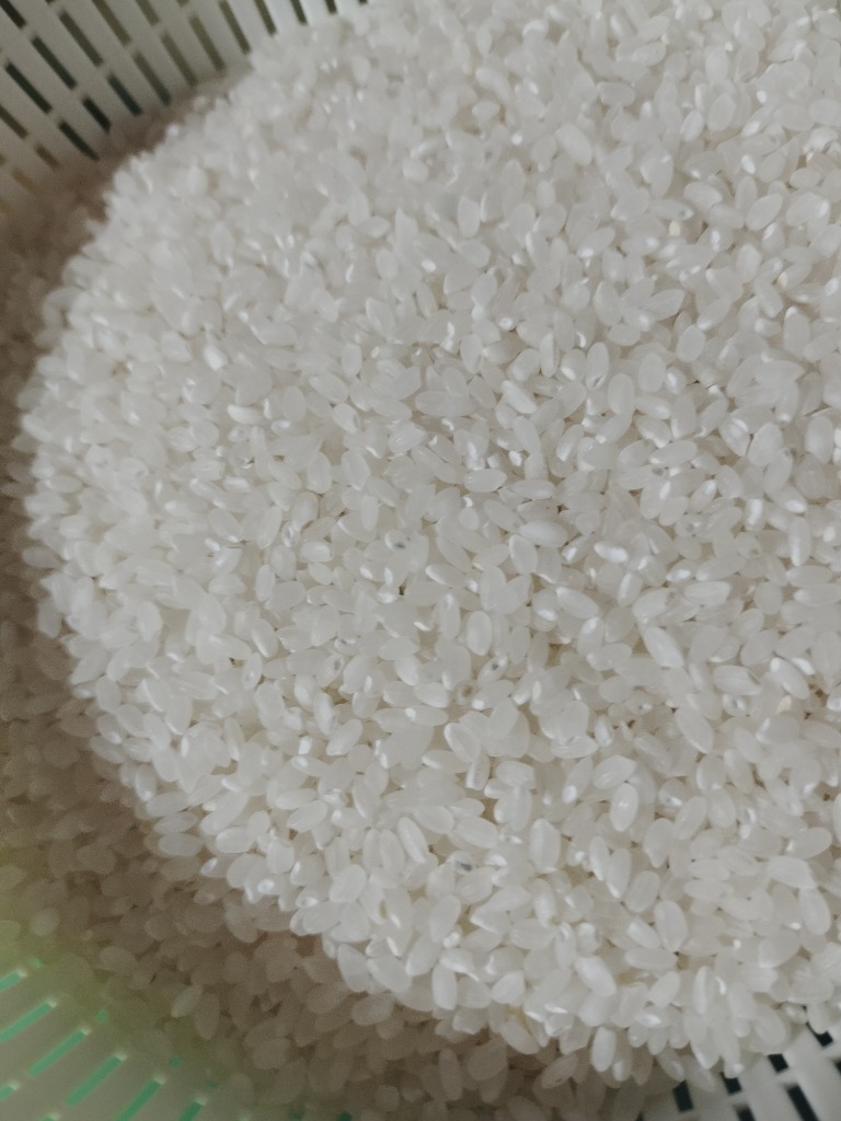 お米 米 30kg (5kg×6袋) まっしぐら 精米 令和6年産 青森県産 お米 米 30kg (5kg×6袋) まっしぐら 精米 令和6年産 青森県産