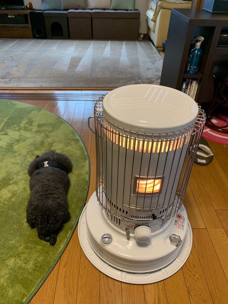 全体のレビュー画像 | 4-0