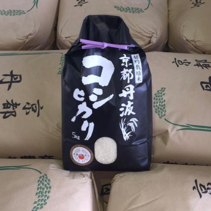 コシヒカリ 令和6年産 【発送2日程】 契約栽培 京都丹波産