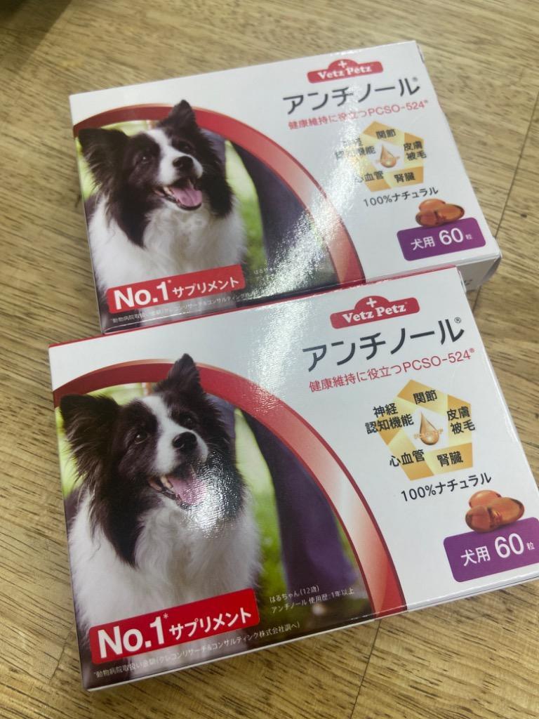 2箱セット】アンチノール 犬用 60粒 サプリメント :vetzanchi-60-2:ミネルヴァ - 通販 - Yahoo!ショッピング