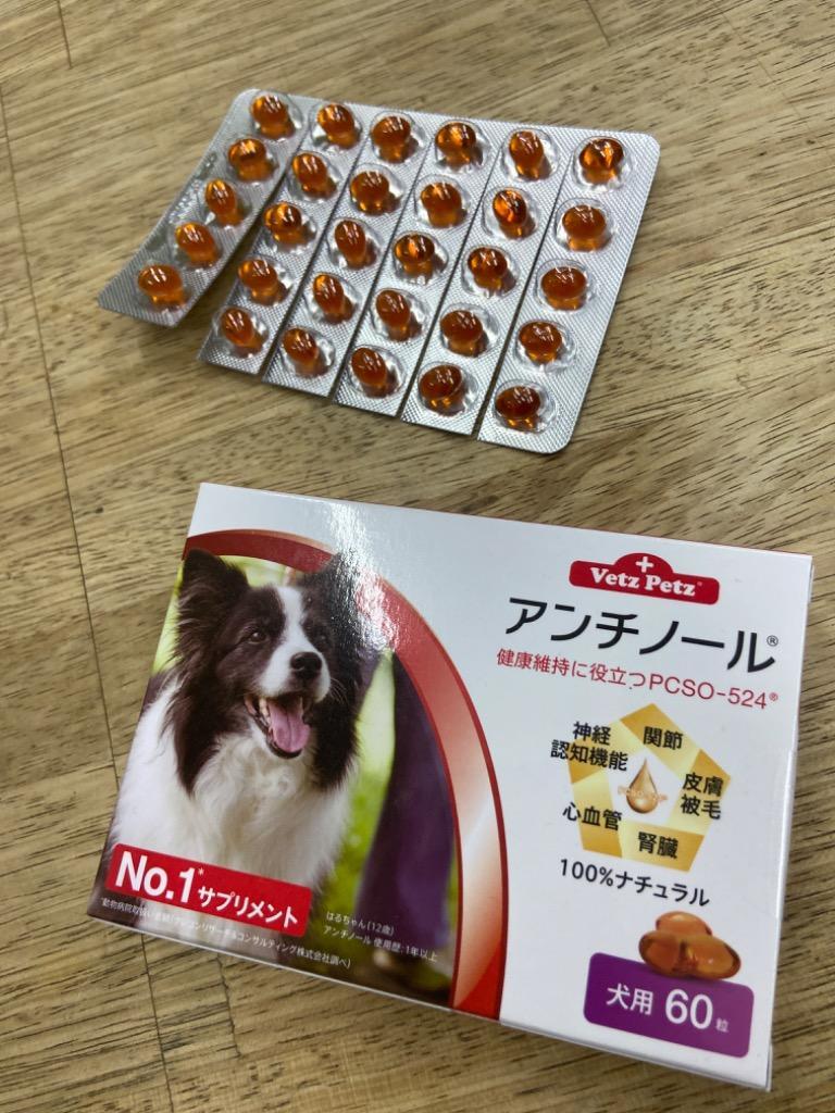 2箱セット】アンチノール 犬用 60粒 サプリメント :vetzanchi-60-2:ミネルヴァ - 通販 - Yahoo!ショッピング