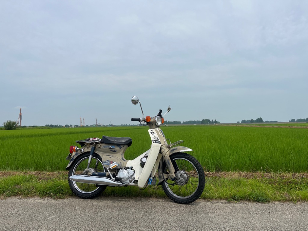 パフォーマンスZ-1型125ccエンジン : ミニモト公式 Yahoo