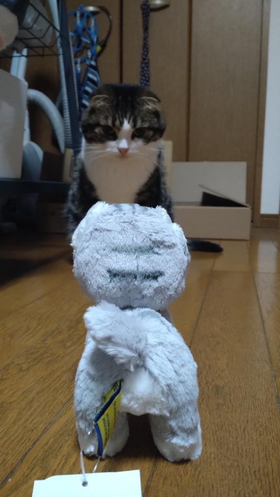 1件目のレビュー画像 | 0