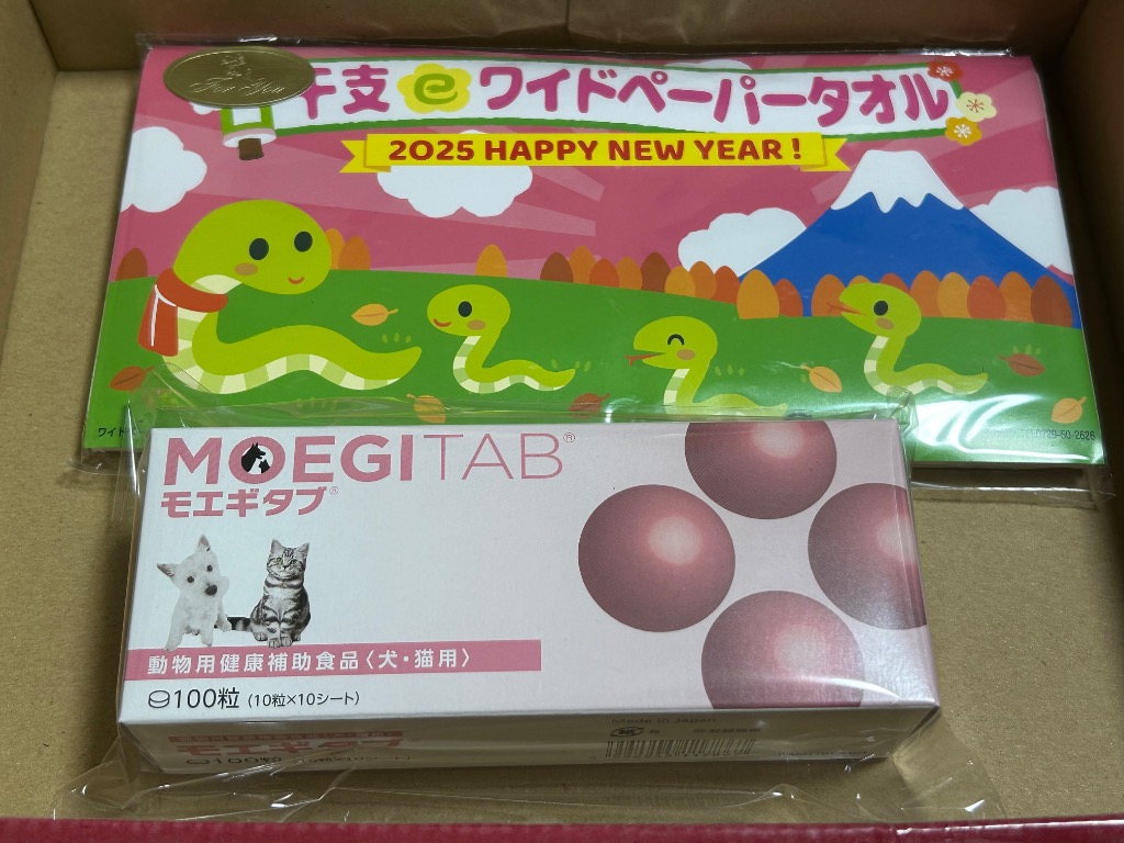 モエギタブ 100粒 犬猫用 サプリメント 共立製薬 箱から出さず