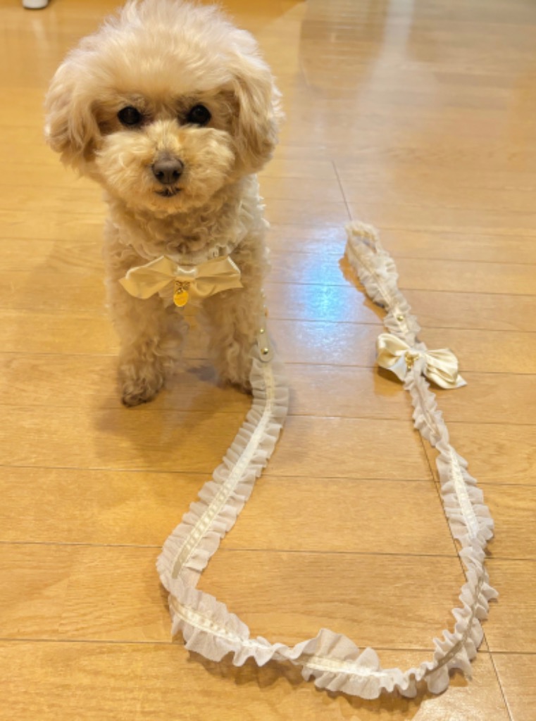 1件目のレビュー画像 | 0