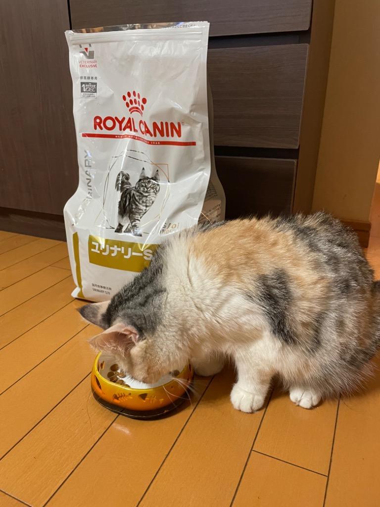 ロイヤルカナン 療法食 猫用 ユリナリーS/O ドライ 4ｋg :10000041-3 