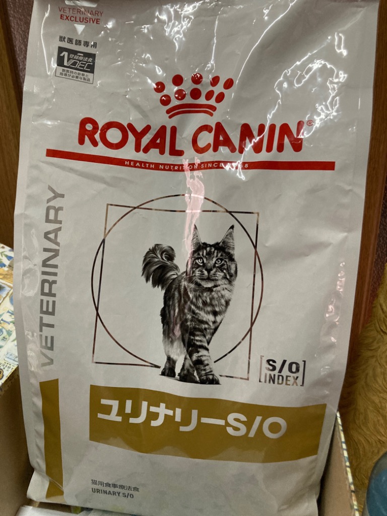 ロイヤルカナン 療法食 猫用 ユリナリーS/O ドライ 4ｋg