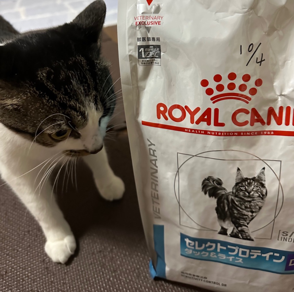 ロイヤルカナン 療法食 猫用 セレクトプロテイン(ダック&ライス 