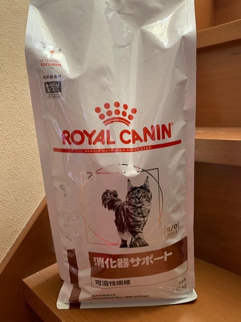ロイヤルカナン 療法食 猫用 消化器サポート(可溶性繊維) ドライ ロイヤルカナン 療法食 猫用 消化器サポート(可溶性繊維) ドライ