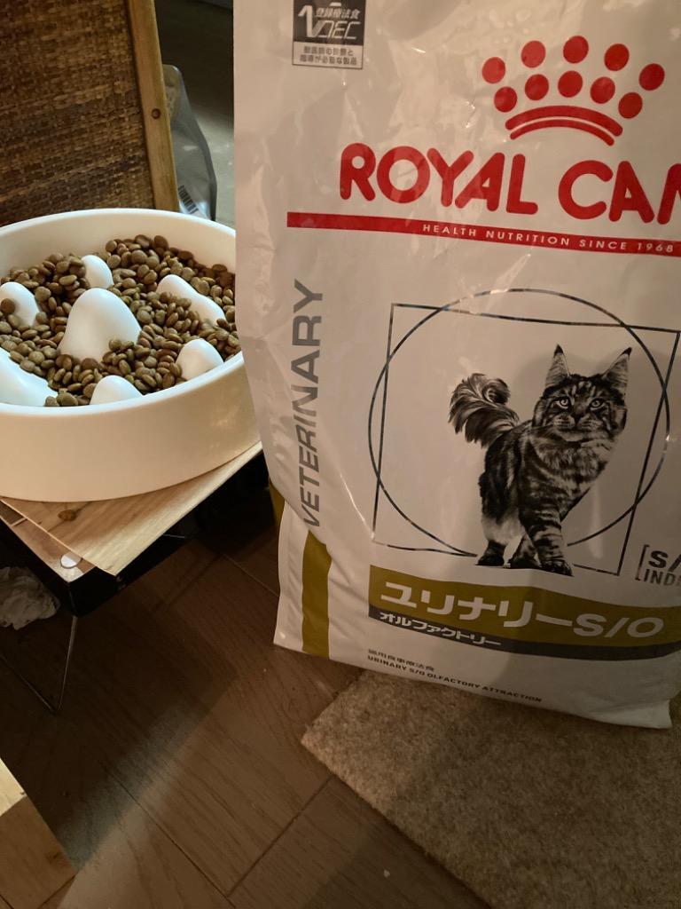 ロイヤルカナン 療法食 猫用 ユリナリーS/O オルファクトリー ライト ドライ4kg :10000139-4:ペットみらいヤフー店 - 通販 -  Yahoo!ショッピング