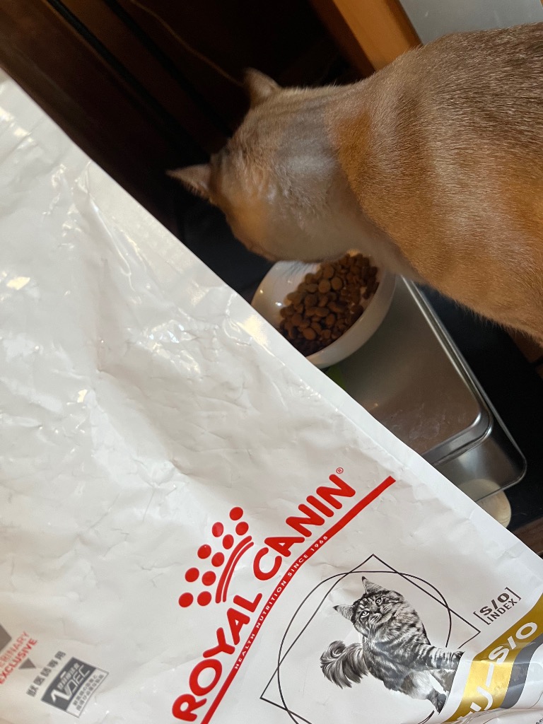 pHコントロール ロイヤルカナン 療法食 猫用 ユリナリーS/O オル