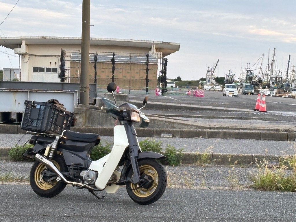 全体のレビュー画像 | 6-0