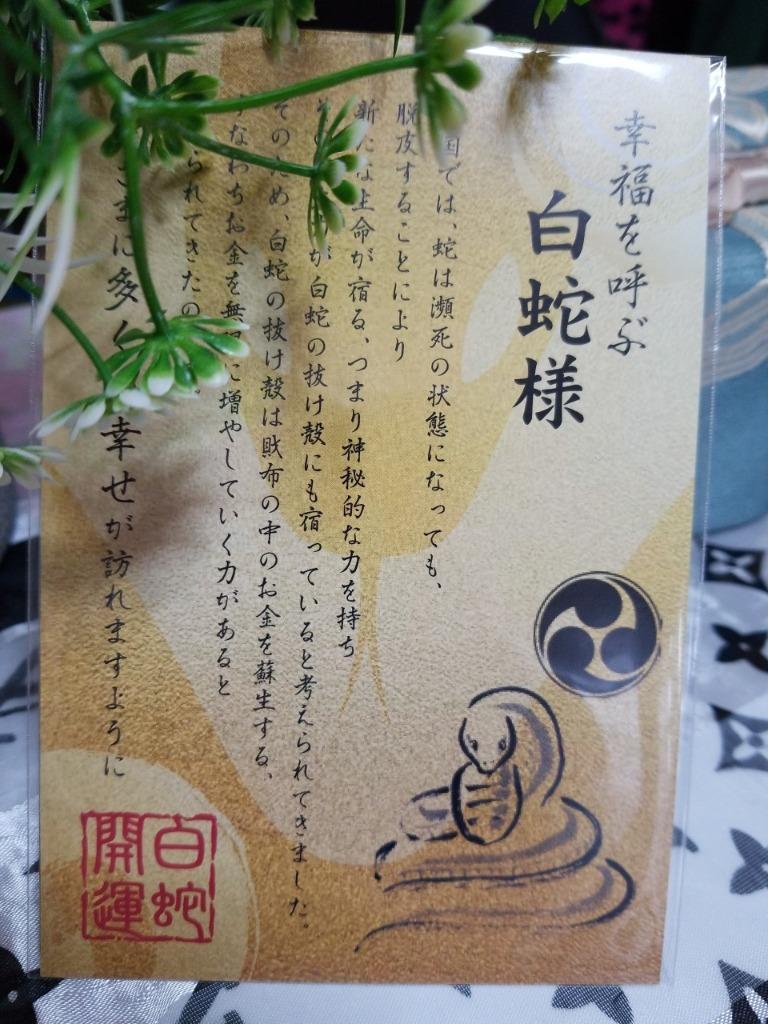 神社祈願 8億円 ゴールド 黄金 白蛇 本物 抜け殻 招き猫 置物 白