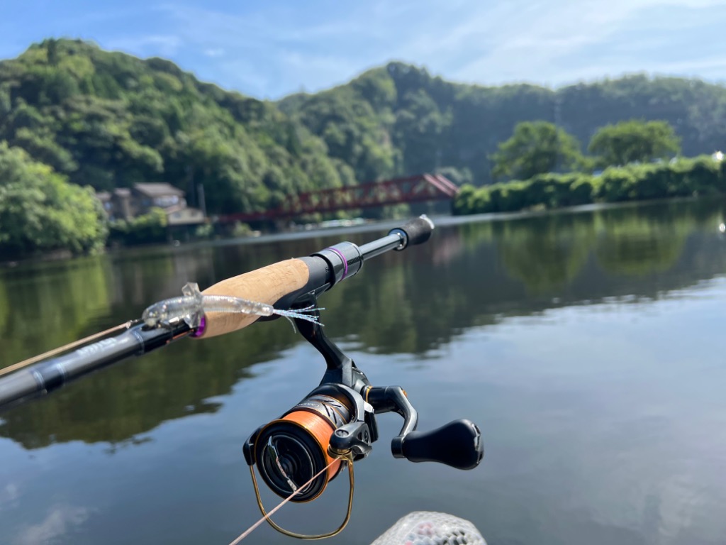 レジットデザイン ワイルドサイド WSS-ST64L＋ : ミシマつり具