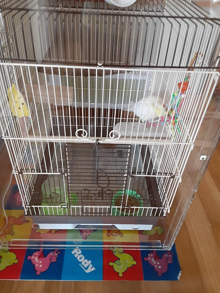 アクリルバードケージ HOEI 35オウム 鳥かご用 アクリルケージ