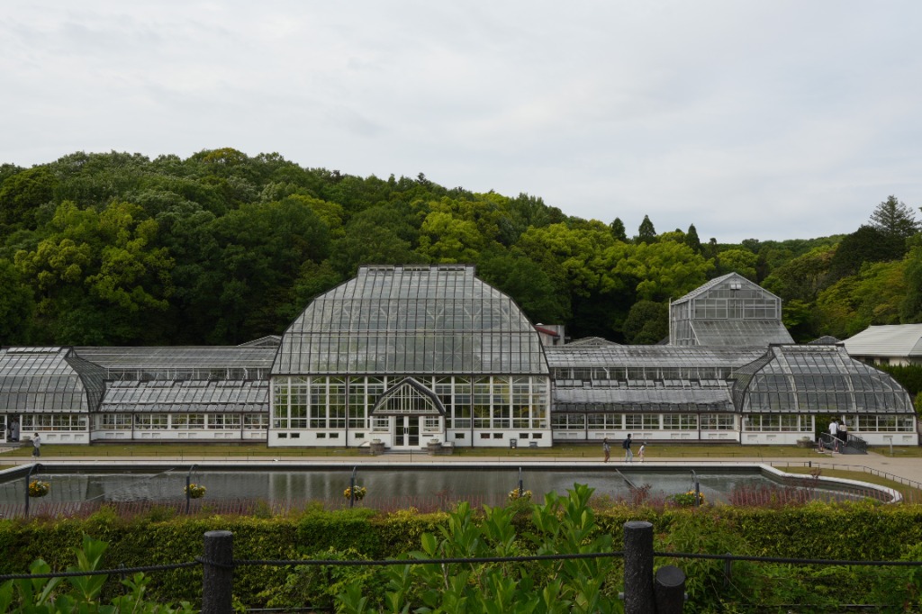 TAMRON（タムロン） (クーポン対象) 25-200mm F/2.8-5.6 Di III VXD G2