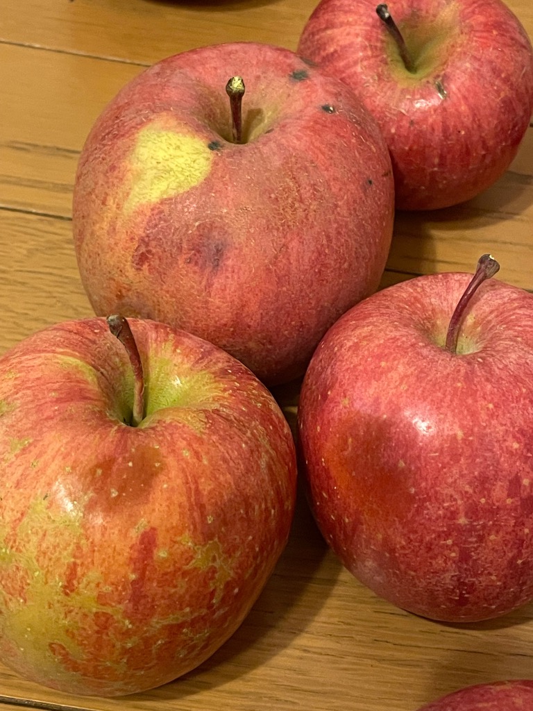サンふじ | 甚八りんご産直便