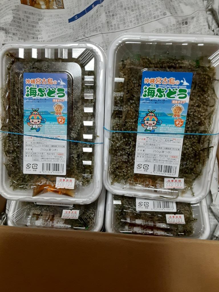 宮古島産（生）海ぶどう１キロ 茎つき（250ｇ×４パック）タレ8袋付