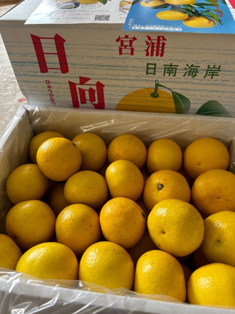 屋久島直送】超希少 たんかん みかん L 約36玉 5kg 送料無料 3月