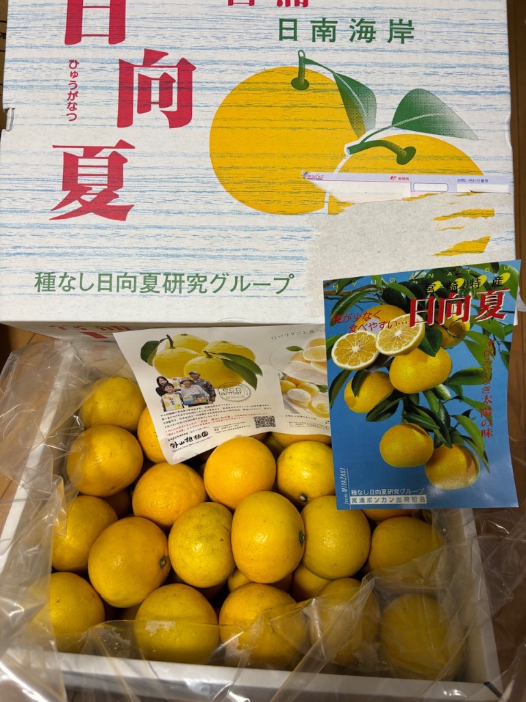 南大隅町産 たんかん 5kg ノーワックス Mサイズ - うちこし