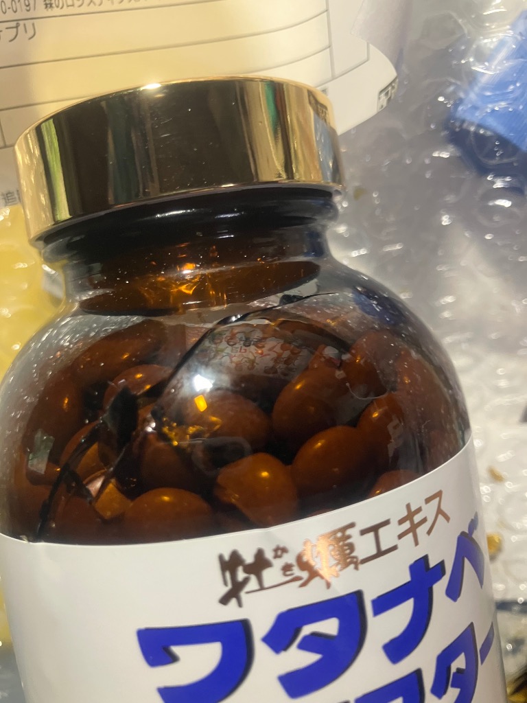 ワタナベオイスター600粒 箱無し : MKラボ - 通販 - Yahoo