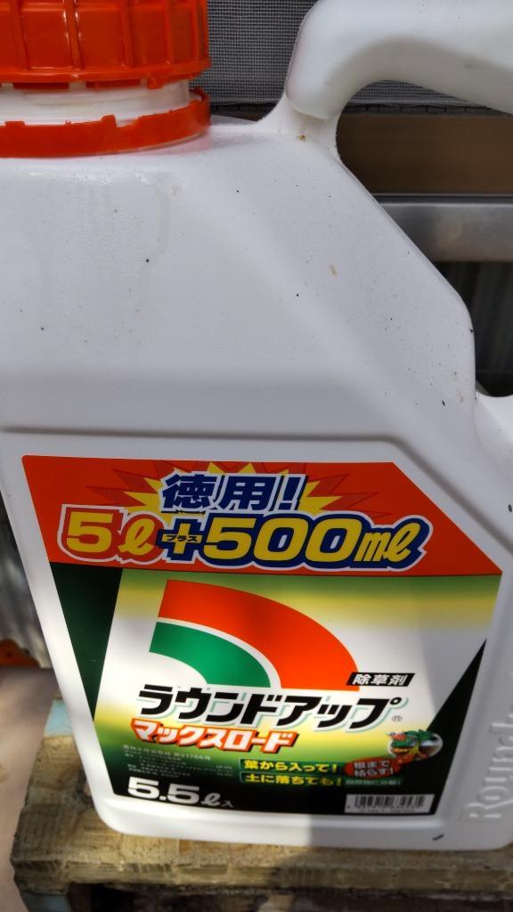 全体のレビュー画像 | 0-0