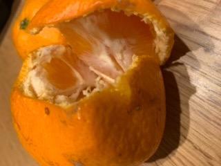 全体のレビュー画像 | 0-0