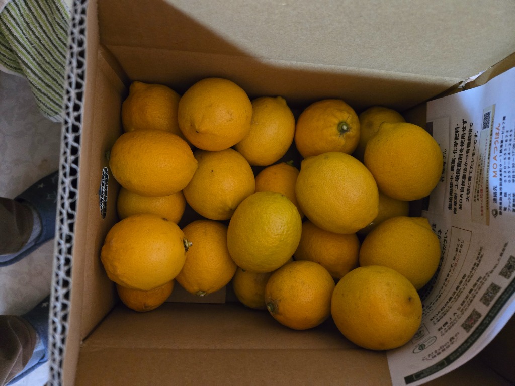 1件目のレビュー画像 | 0