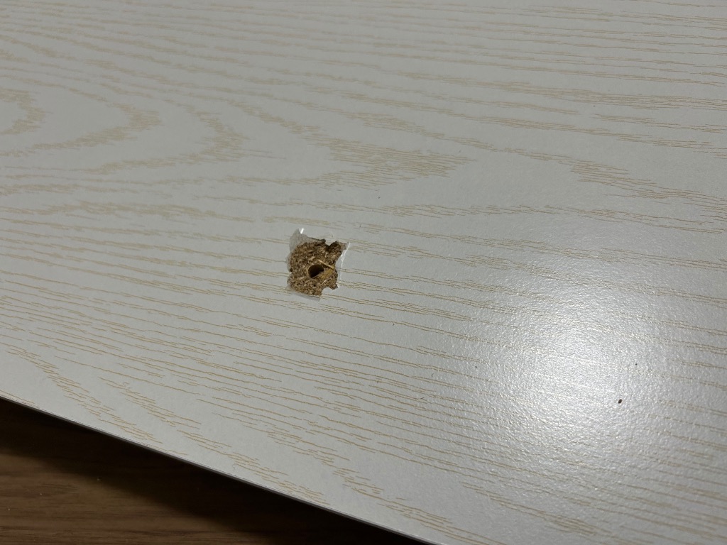 レビュー画像
