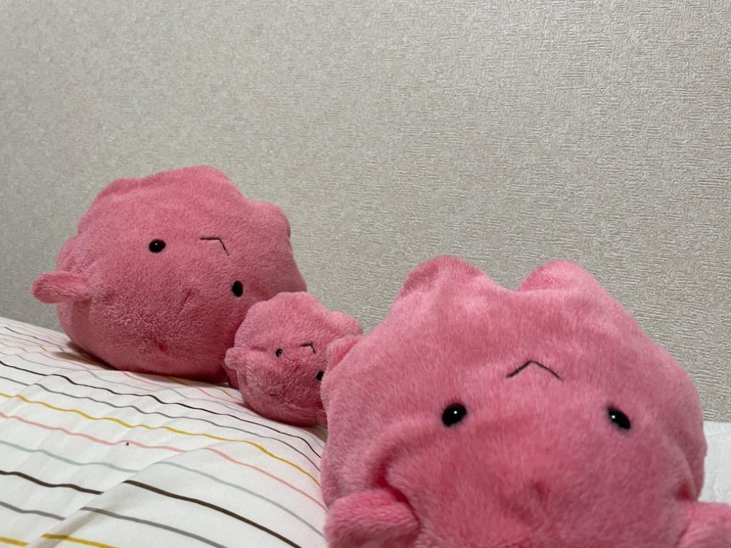 ぬいぐるみ 魚 メンダコ ぽちゃまる AKAITYUPOTYAS-MEND 7120 海中散歩