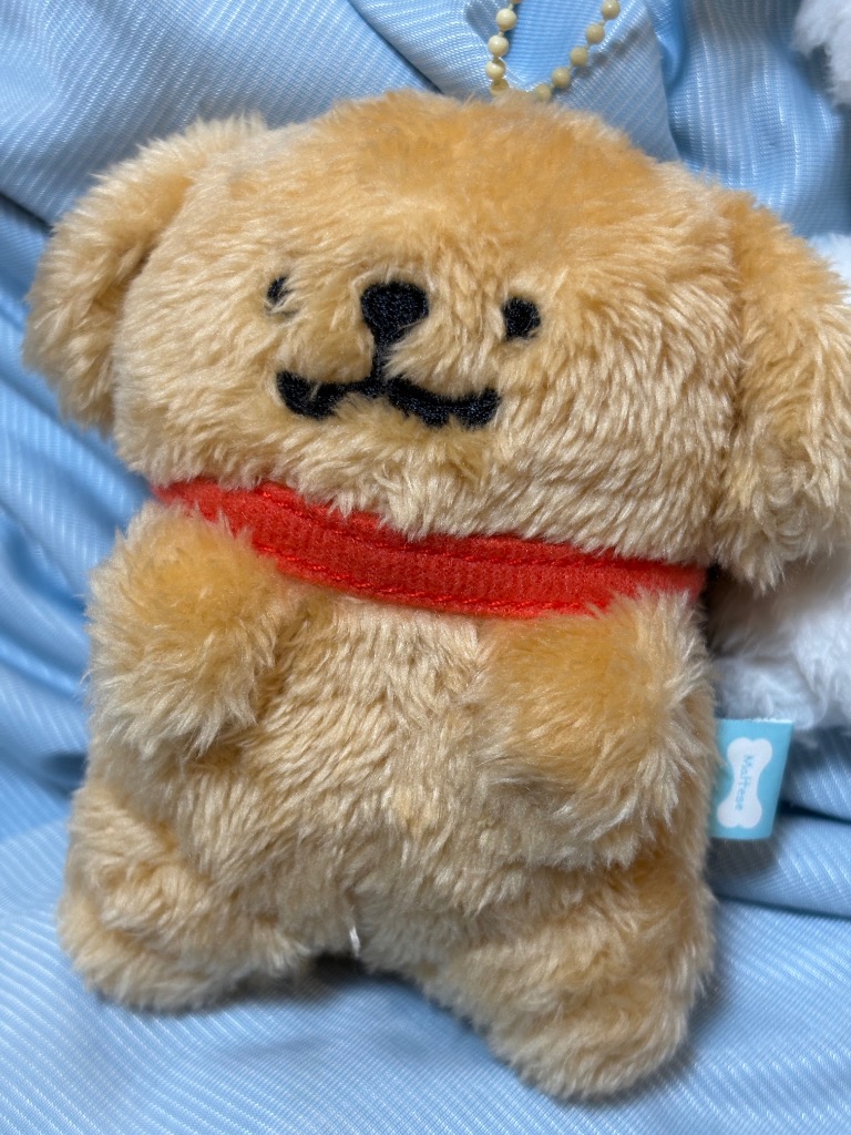 Maltese マスコットボールチェーン（おすわり） 全2種 マルチーズ